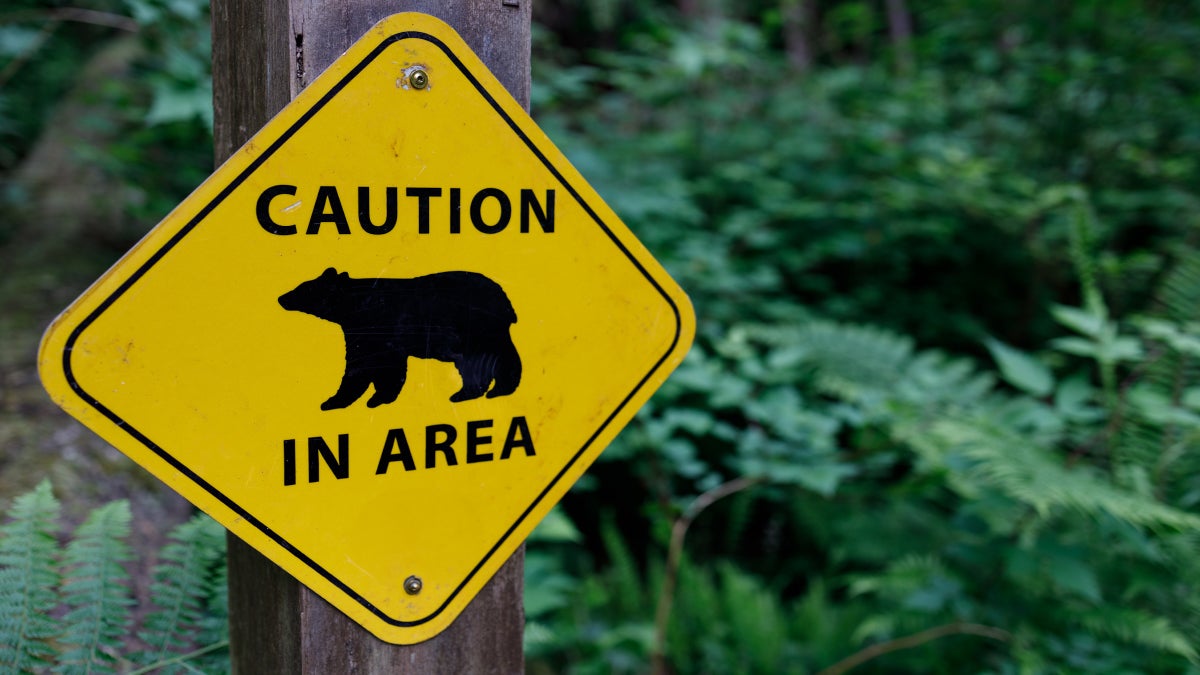 A Black Bear Stalked a Hiker for 30 Minutes. What Happened Next Has Experts Talking.
