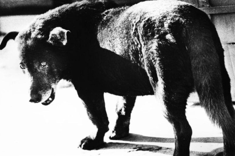 Fondation Henri Cartier‑Bresson Unveils Dual Photography Exhibitions in Paris