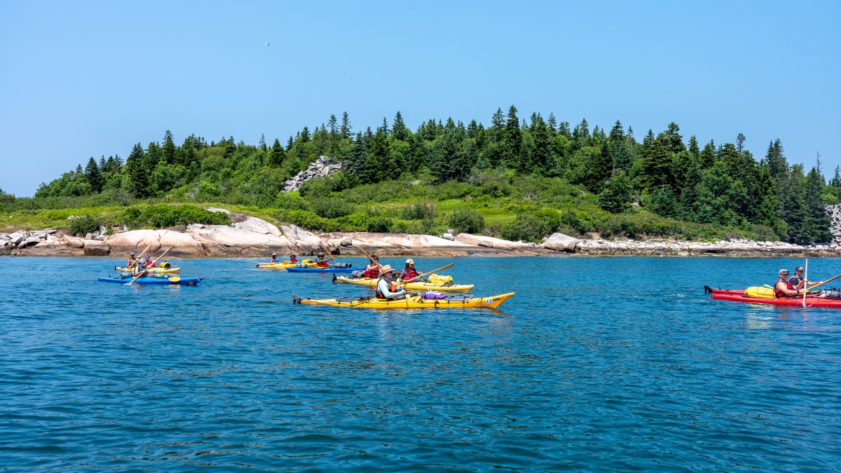 I’m a Local Guide. These Are the 7 Best Outdoor Activities to Do in Maine This Summer.