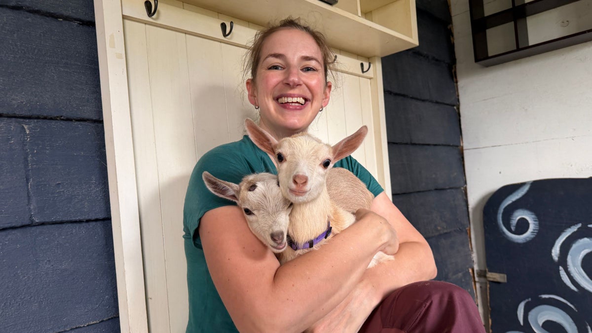 Inside the Unconventional World of Goat Therapy, Where Talking Is Entirely Optional