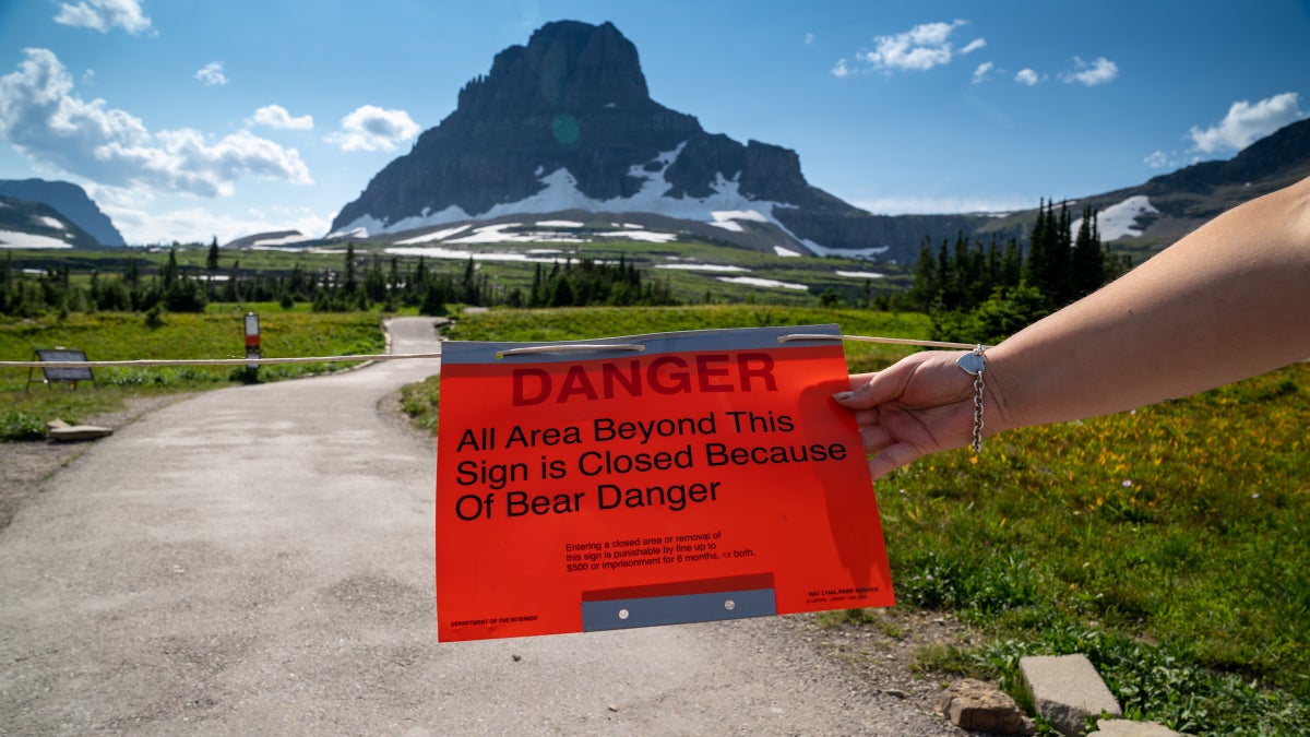 Officials Have Officially Banned Tents at a Popular Yellowstone-Area Camp Amid Growing Grizzly Concerns