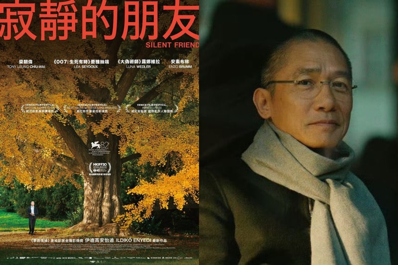 植物比人類更懂生活：梁朝偉新片《寂靜的朋友》帶我們看見，生命的另一種深層智慧