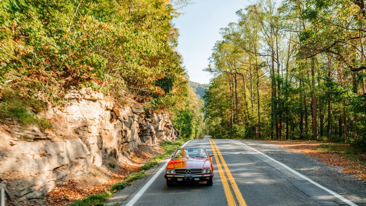 Road Tripping West Virginia’s Cranberry Corridor