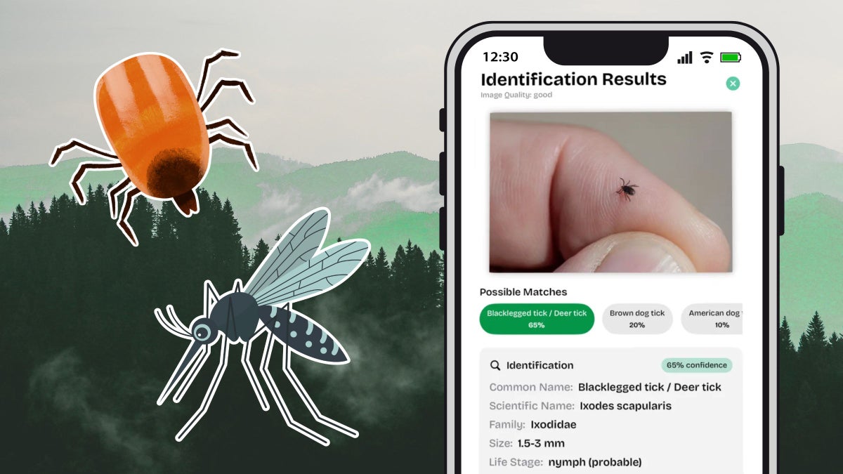 The Tick-Borne Disease Boom Is Feeding an Epidemic of Misinformation. Here’s What Experts Want You to Know.